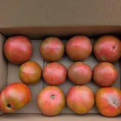【りんか】訳あり‼️青森県産　赤めのトマト　4kg 着払いのサムネイル