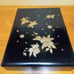 Item thumbnail for item 7a12c80f-695e-4af0-a1c4-4b5c0fcbf41b