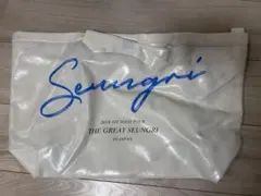 BIGBANG Seungri 2018 Solo Tour バッグ