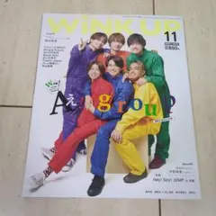 WINK UP 2023年11月号