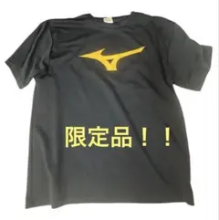 聖隷クリストファー　バレー部Tシャツ 聖隷クリストファー バレー部Tシャツ - メルカリ