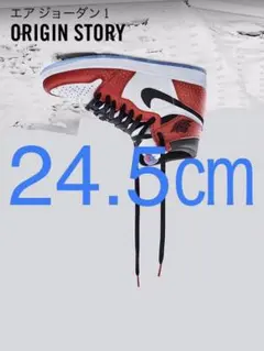 【24.5㎝】ナイキ エアジョーダン1 スパイダーマン