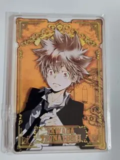 家庭教師ヒットマンREBORN 沢田綱吉 ステータスカード