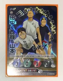 ハイキュー バボカ S 烏野 音駒 山本猛虎 田中龍之介 西谷夕 ①