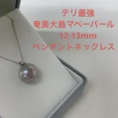 2026年最新】奄美 真珠の人気アイテム - メルカリ