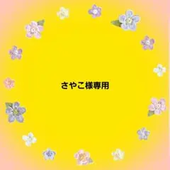 さやこ様 リクエスト 2点 まとめ商品