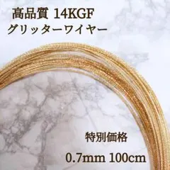 人気　高品質 14kgf グリッターワイヤー 0.7mm 100cm