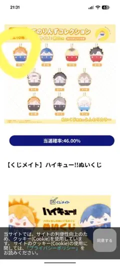 ハイキュー ぬいくじE賞 日向翔陽