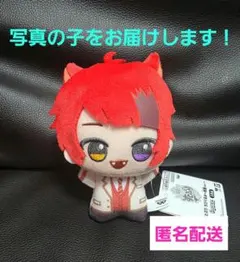 2025年最新】莉犬 ぬいぐるみの人気アイテム - メルカリ