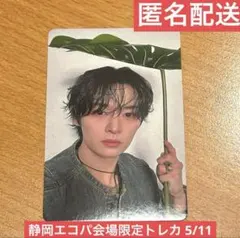 straykids リノ Hollow エコパ 会場限定 トレカ