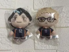 g*n様 ハイキュー!! 　セガラッキーくじ　B賞　ぬいぐるみ