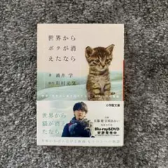 Item thumbnail for item d7a7acc8-d1e1-493c-a86b-9a40117aada8