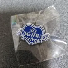 TREASURE　ジョンファン　fcピンバッジ