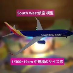 2026年最新】サウスウェスト航空の人気アイテム - メルカリ