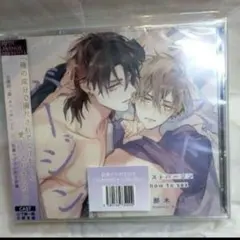 ロストバージン how to sex(特典ドラマCD付き)