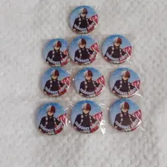 僕のヒーローアカデミア ヒロアカ 轟焦凍 クリームソーダ 缶バッジ 10点 ⑤