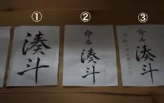 Item thumbnail for item a1c84121-6dd5-4bb2-b70a-004dac44440c