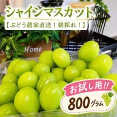 ☆シャインマス カット 粒売り『お試し用!! 800グラム』のサムネイル