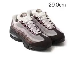 Nike Women's Air Max 95 Velvet 29.0