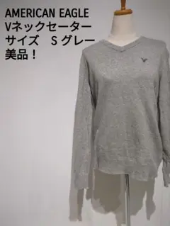 AMERICAN EAGLE Vネックセーター サイズS グレー