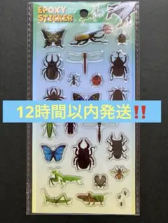 Item thumbnail for item dee9a6fa-2e96-46b7-a415-de5d3147d38b