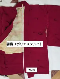 Item thumbnail for item 50316a80-f1b4-4b16-9af8-b3b09d41c232