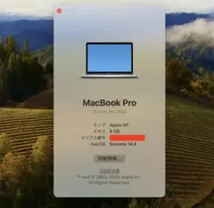 【バッテリー容量100%】MacBook Pro 13インチM1(8/512)