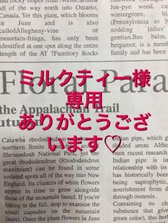 ミルクティー様専用