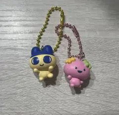 チョコボックス たまごっち まめっち ふらわっち