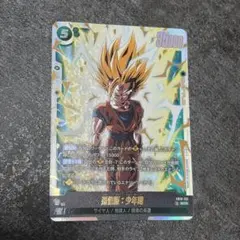 孫悟飯 SCR CROSS FORCE ドラゴンボールフュージョンワールド - メルカリ