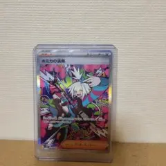 ホミカの演奏 SAR