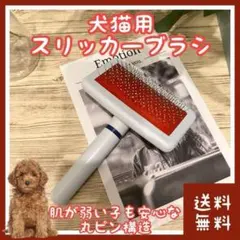 Item thumbnail for item 9ec91179-7383-4a1f-911d-4575f4ead363