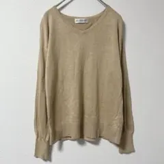 INED イネド Vネックニット L ベージュ 薄手 シンプル きれいめ