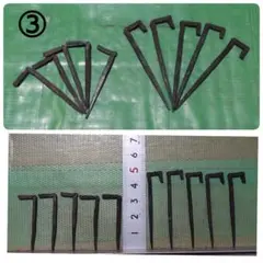 Item thumbnail for item 813513a3-5362-4814-a0df-08540225e58e