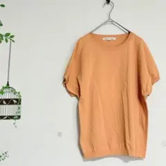 23区/春夏ニット 半袖 オレンジ フレンチスリーブ 38