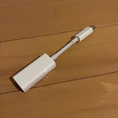 Apple純正Thunderbolt LANコネクターA1433