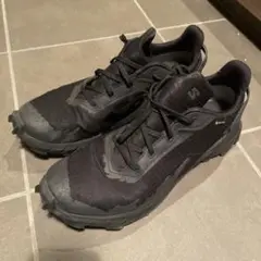 SALOMON GORE-TEX アルファクロス　27