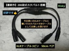 Item thumbnail for item df200f7f-8669-4dda-bb29-4b6229e31a30