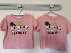 Item thumbnail for item 0fe56ebb-9b59-4cf1-af9d-65e3ff07ad2a