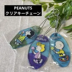 Item thumbnail for item dae31798-f513-4f8a-ab51-3d01b469dec0