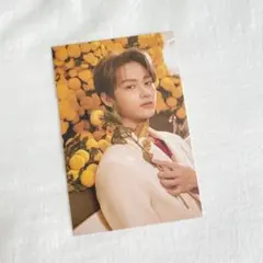 Your Choice ポストカード ジュン