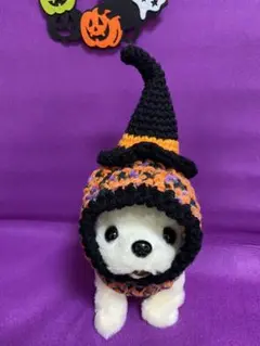 犬帽子ハロウィン⑤