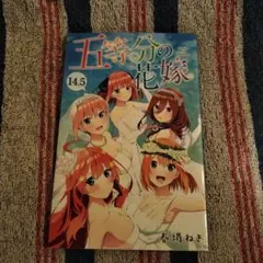 Item thumbnail for item af01a377-58cf-4c49-a381-8bf5d27411bc