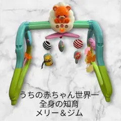 【美品】うちの赤ちゃん世界一 全身の知育 メリー＆ジム　おもちゃ