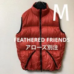 フェザードフレンズ FEATHERED FRIENDS ヘリオスダウンベストM