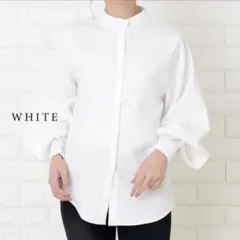 ホワイト 長袖 シャツ Lサイズ レースレディース