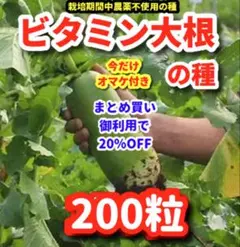木全寿幸様 リクエスト 6点 まとめ商品