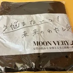 Item thumbnail for item ee85781a-8861-4865-822f-f3f54c00b5cb