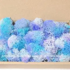 Item thumbnail for item 82e448eb-3ddc-45e6-809e-93d6a8ef1e7c