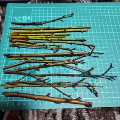 2026年最新】スモモ 穂木の人気アイテム - メルカリ